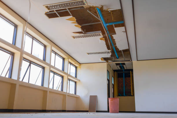 Best Water damage restoration process  in Port Royal, SC
