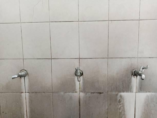 Reliable Port Royal, SC Water damage restoration Solutions
