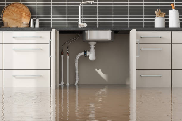 Best Flood restoration services  in Port Royal, SC